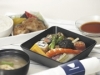 ���⿩�餷���ʤ����⿩��ANA�������Ϥ�ߤ���ƽ��ǥ�˥塼����